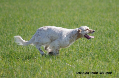 de bastide Coulomb - Poursuite de la préparation en Beauce